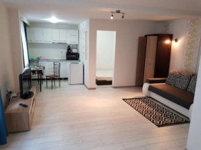 Apartament 2 Central, Târgu-Mureş